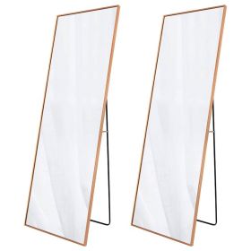 Set of 2 - Gold 65-inch Full Length Freestanding Floor Mirror with Stand